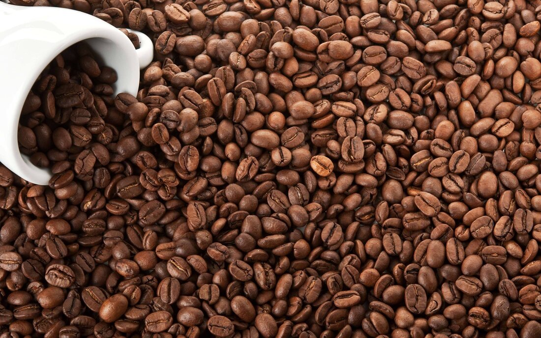 digested coffee beans